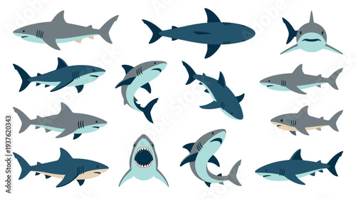 Collection of various shark illustrations in different poses and angles, showcasing their powerful forms and aquatic nature.