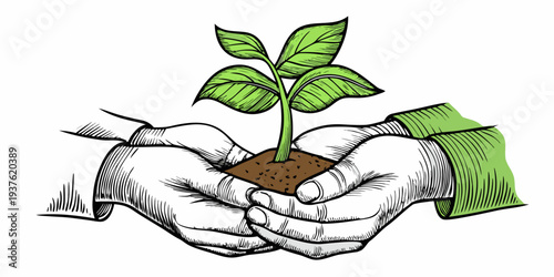 Hands gently cradling a young plant sprout emerging from soil