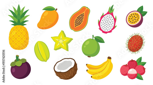 Adobe Illustrator Artwork