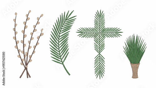 Palm leaves and branches on white background symbolizing nature and relaxation for design and decoration purposes