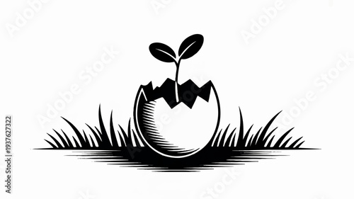 Sprouting seedling emerging from cracked eggshell on grassy ground symbolizing growth and new beginnings in nature