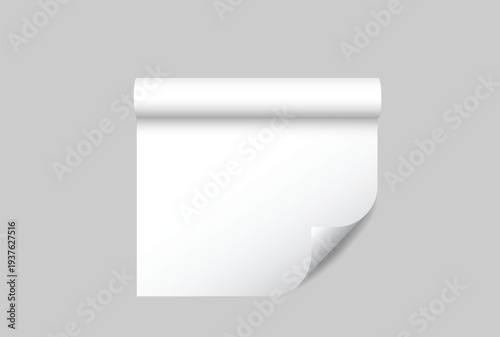 White gift wrapping paper mockup with rolled edge and curved corner isolated on background, clean paper texture for gift wrap design, packaging, branding, print, magazines, catalogs or newspapers.