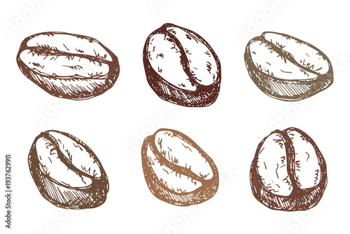Set of hand drawn fresh roasted coffee bean Arabica robusta seed doodle Single element for design print packaging label decor