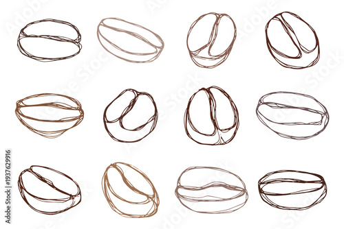 Set of hand drawn fresh roasted coffee bean Arabica robusta seed doodle Single element for design print packaging label decor