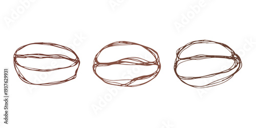 Set of hand drawn fresh roasted coffee bean Arabica robusta seed doodle Single element for design print packaging label decor