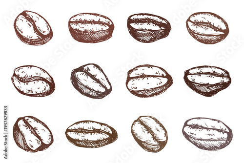 Set of hand drawn fresh roasted coffee bean Arabica robusta seed doodle Single element for design print packaging label decor