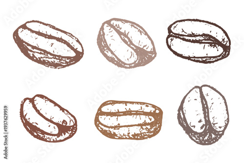 Set of hand drawn fresh roasted coffee bean Arabica robusta seed doodle Single element for design print packaging label decor