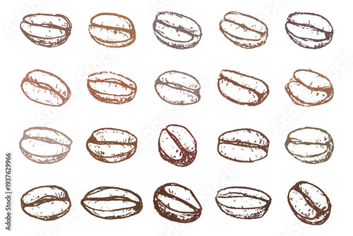 Set of hand drawn fresh roasted coffee bean Arabica robusta seed doodle Single element for design print packaging label decor