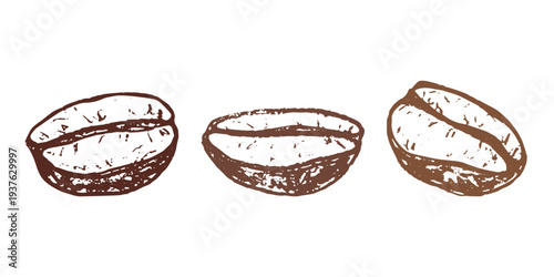 Set of hand drawn fresh roasted coffee bean Arabica robusta seed doodle Single element for design print packaging label decor