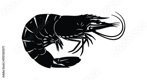 Black Silhouette of a Shrimp seafood crustacean
