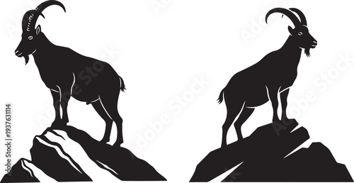 Black Mountain Goat Silhouettes Standing on Rocky Cliffs – Wildlife Vector Illustration. Mountain goat silhouettes illustration with rocky ledges,