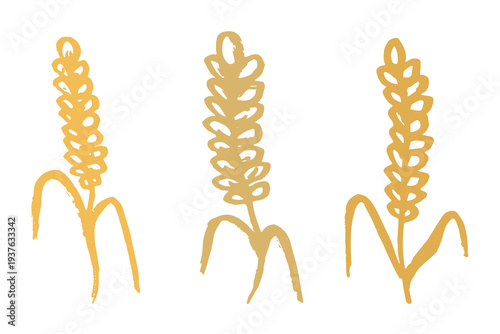 Set of hand drawn cereal wheat oat rye barley rice ears spikelet clipart Organic wheat bread agriculture farming harvest healthy food Single element for design print packaging label decor