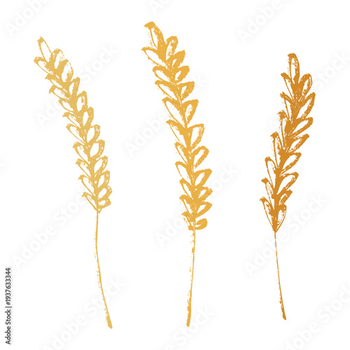 Set of hand drawn cereal wheat oat rye barley rice ears spikelet clipart Organic wheat bread agriculture farming harvest healthy food Single element for design print packaging label decor