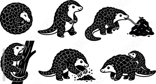 Tattoo flash six pangolin poses curled sleeping standing climbing feeding carrying baby digging bold line art