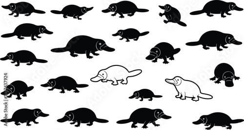 Black and white platypus silhouettes on white background platypuses duck-billed platypus