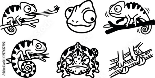 Line art chameleon and frog icon set six playful close up poses with tongue catching insect branch grip bold outline