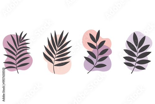 Four tropical leaves with pastel backgrounds