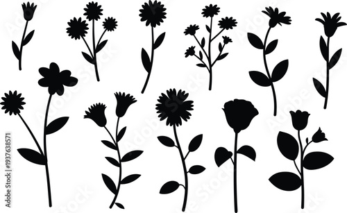 Large Collection of Black Flower Silhouettes Including Roses Daisies and Tulips with Stems and Leaves Isolated on White Background for Elegant Vector Botanical Graphic Design