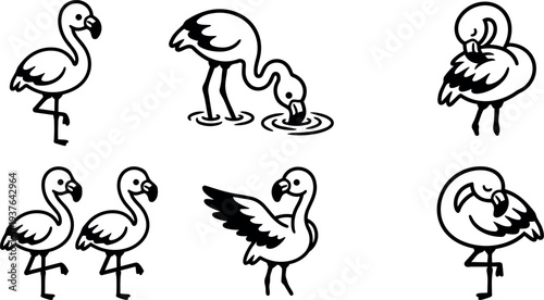 Minimalist line art flamingo icons set six poses standing feeding preening flying close up side view vector design black white