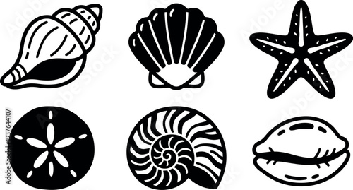 Flat line art shell icon set showing conch scallop starfish sand dollar nautilus and cowrie bold icons on white background