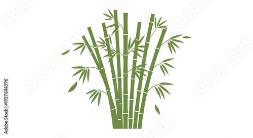 Bamboo Plant Illustration Isolated.