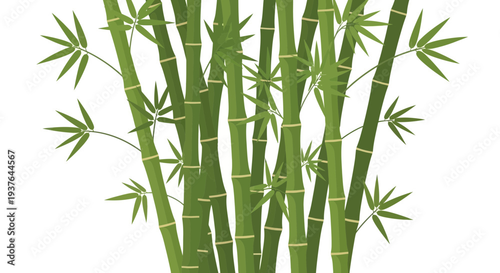 Obraz premium Bamboo Stems with Leaves 7.