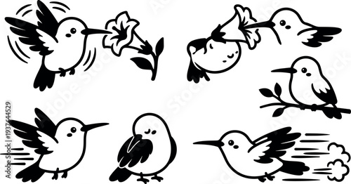 Line art hummingbird vector set six poses feeding hovering perching flying fast close up simple black and white icons collection