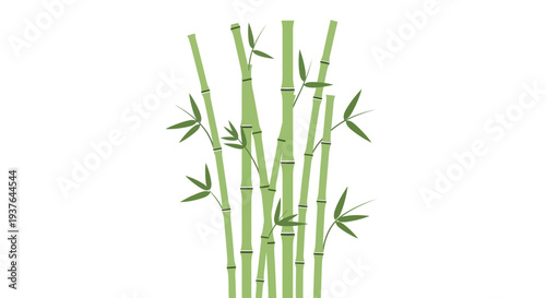 Bamboo Stems with Leaves.
