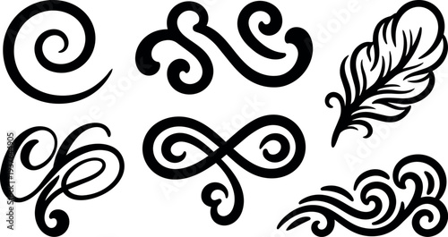 Calligraphic flourish vector ornaments close up decorative swirls feather element black on white ornate elegant baroque motif thick ink strokes