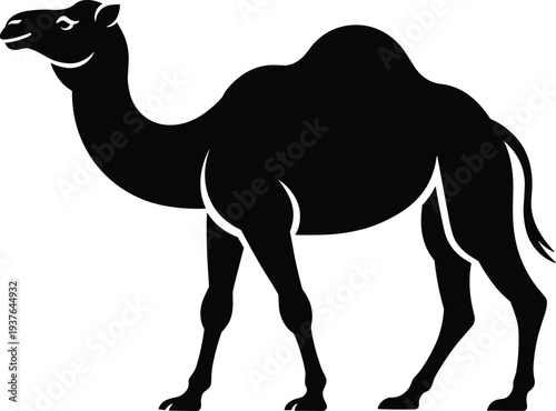 Camel silhouette vector illustration, desert animal wildlife clipart, Arabian camel icon, black mammal design isolated nature graphic