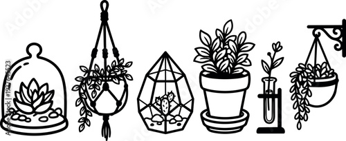 Line art botanical set of succulent terrariums and hanging planters in minimalist outline style viewed in close up front angle