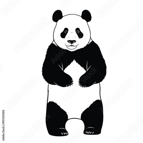 Simple Black and White Panda Bear Illustration Standing Upright