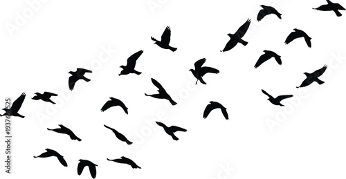 Flying birds silhouette flock collection, migration formation in sky, wildlife nature freedom symbol black bird illustration set