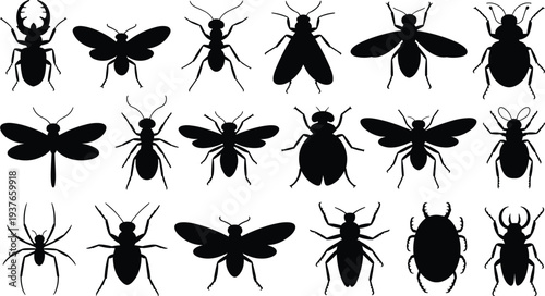 Insect silhouette collection beetle ant fly spider bug butterfly black vector icons set isolated entomology wildlife illustration