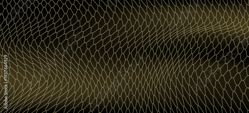 Abstract net background for sports