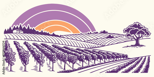 A purple illustration of a vineyard at sunset Vector