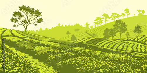 A green hillside with trees and bushes Vector