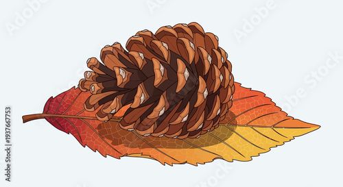 Pine cone resting on an autumn leaf illustration.