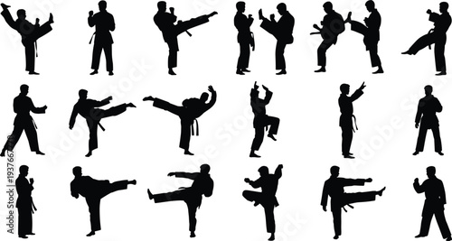 Karate fighter silhouette set, martial arts combat training poses vector illustration, taekwondo kick action athletes isolated defense collection