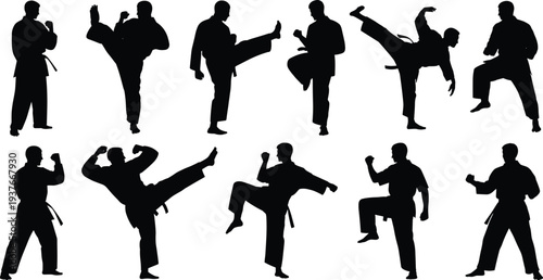 Karate martial arts fighters silhouette collection, combat training poses vector illustration, taekwondo action movements, self defense sport athletes isolated set