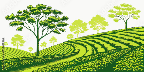 A green hillside with trees and rows of plants Vector