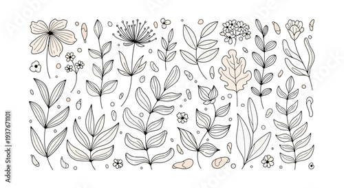Hand-drawn botanical illustration with delicate flowers and leaves, minimalist sketch style