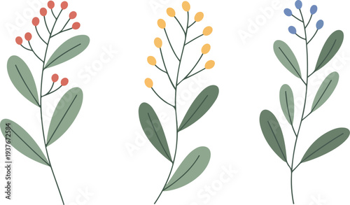Hand drawn botanical branches with green leaves and colorful pink yellow blue berries minimalist illustration set