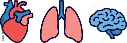 Human organ icon set with heart lungs and brain flat stylized design in red and blue on black background