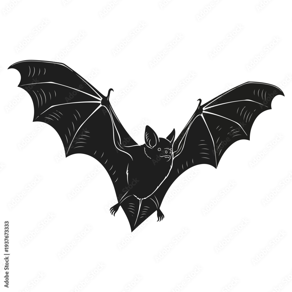 Fototapeta premium Black bat flying isolated on white background