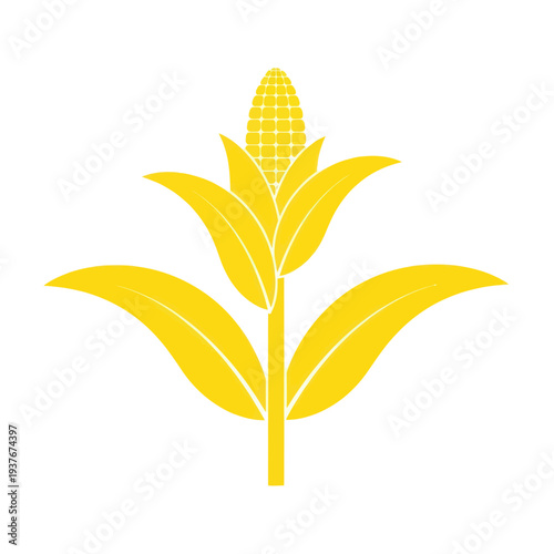 Yellow Corn Plant Icon on White Background, Agriculture Symbol