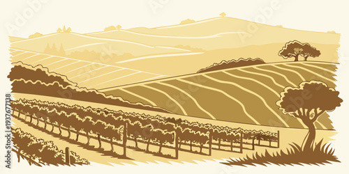 A sepia-toned image of a vineyard with rows of grapevines Vector