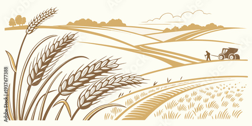 A serene landscape of golden wheat fields and rural scenery Vector