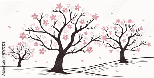 A serene landscape with blooming cherry blossom trees Vector