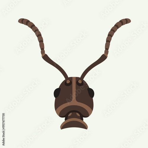 Brown insect head with long antennae on white background